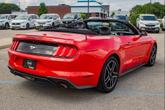 Thumbnail of 2019 Race Red Ford Mustang