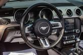 Thumbnail of 2019 Race Red Ford Mustang