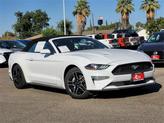 Thumbnail of 2023 Oxford White Ford Mustang