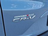 Thumbnail of 2020 Blue Honda CR-V