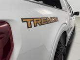 Thumbnail of 2024 Avalanche Gray Ford F-150
