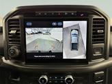 Thumbnail of 2024 Avalanche Gray Ford F-150