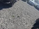 Thumbnail of 2022 Black Chevrolet Silverado 1500