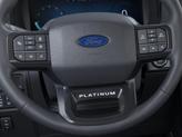 Thumbnail of 2025 Carbonized Gray Metallic Ford F-150