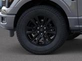 Thumbnail of 2025 Carbonized Gray Metallic Ford F-150