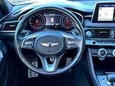 Thumbnail of 2020 Vik Black Genesis G70