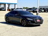 Thumbnail of 2020 Vik Black Genesis G70