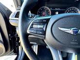 Thumbnail of 2020 Vik Black Genesis G70