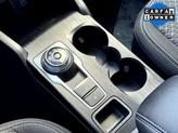 Thumbnail of 2025  Ford Escape