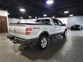 Thumbnail of 2010 Ingot Silver Ford F-150