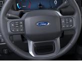 Thumbnail of 2025 RUBY RED Ford F-250