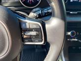 Thumbnail of 2022 Flare Red Kia Carnival