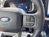 Thumbnail of 2025 Agate Black Metallic Ford F-150
