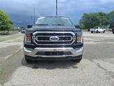 Thumbnail of 2023 Agate Black Metallic Ford F-150