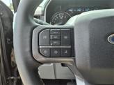 Thumbnail of 2023 Agate Black Metallic Ford F-150