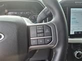 Thumbnail of 2023 Agate Black Metallic Ford F-150