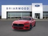 Thumbnail of 2025 Race Red Ford Mustang