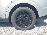 Thumbnail of 2025 Ivory Silver Kia Carnival Hybrid