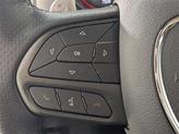 Thumbnail of 2023 Sublime Clearcoat Metallic Dodge Charger
