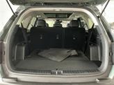 Thumbnail of 2023 Aruba Green Kia Sorento