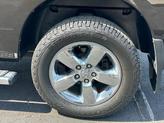 Thumbnail of 2014 Black Gold Pearlcoat RAM 1500