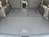 Thumbnail of 2025 Dark Moss Kia Telluride