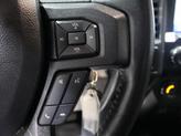 Thumbnail of 2019 Ruby Red Metallic Tinted Clearcoat Ford F-150