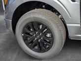 Thumbnail of 2025 Carbonized Gray Metallic Ford F-150