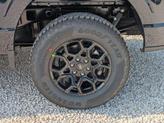 Thumbnail of 2025 Antimatter Blue Metallic Ford F-150
