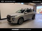 Photo of 2025 Typhoon Silver Hyundai PALISADE