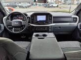 Thumbnail of 2023 Gray Ford F-150