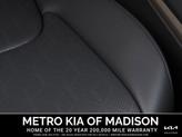 Thumbnail of 2026 Panthera Metal Kia Carnival Hybrid