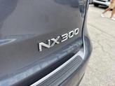 Thumbnail of 2021 Gray Pearl Lexus NX 300