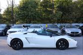 Thumbnail of 2008 Bianco Monocerus Lamborghini Gallardo