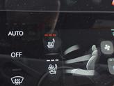 Thumbnail of 2025 Vik Black Genesis GV80