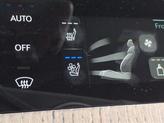 Thumbnail of 2025 Vik Black Genesis GV80