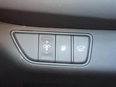 Thumbnail of 2024 Pearl Genesis G70