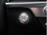 Thumbnail of 2023 Jungle Green Kia Telluride