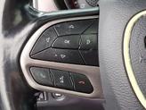 Thumbnail of 2020 White Knuckle Clearcoat Dodge Charger