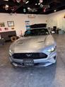 Thumbnail of 2020 Magnetic Ford Mustang