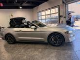 Thumbnail of 2020 Magnetic Ford Mustang