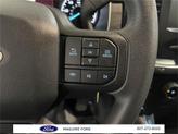 Thumbnail of 2023 Agate Black Metallic Ford F-150