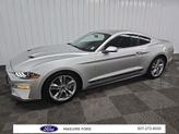 Thumbnail of 2019 Ingot Silver Ford Mustang