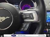 Thumbnail of 2019 Ingot Silver Ford Mustang