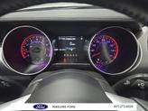Thumbnail of 2019 Ingot Silver Ford Mustang