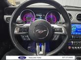 Thumbnail of 2019 Ingot Silver Ford Mustang
