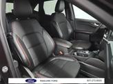Thumbnail of 2023 Cinnabar Red Metallic Ford Escape
