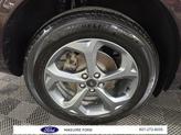 Thumbnail of 2023 Cinnabar Red Metallic Ford Escape