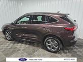 Thumbnail of 2023 Cinnabar Red Metallic Ford Escape