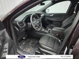 Thumbnail of 2023 Cinnabar Red Metallic Ford Escape